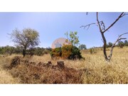 Terreno R�stico - Alcoutim, Alcoutim, Faro (Algarve) - Miniatura: 9/9