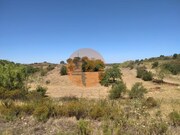 Terreno R�stico - Azinhal, Castro Marim, Faro (Algarve) - Miniatura: 5/9