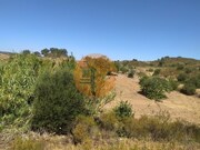 Terreno R�stico - Azinhal, Castro Marim, Faro (Algarve) - Miniatura: 6/9