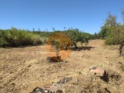 Terreno R�stico - Azinhal, Castro Marim, Faro (Algarve) - Miniatura: 7/9