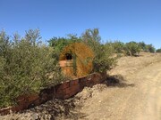 Terreno R�stico - Azinhal, Castro Marim, Faro (Algarve) - Miniatura: 8/9