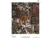 Terreno R�stico - S�o Br�s de Alportel, S�o Br�s de Alportel, Faro (Algarve) - Miniatura: 1/9