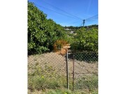 Terreno R�stico - S�o Br�s de Alportel, S�o Br�s de Alportel, Faro (Algarve) - Miniatura: 9/9