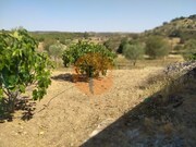 Terreno R�stico - Martim Longo, Alcoutim, Faro (Algarve) - Miniatura: 4/9