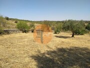 Terreno R�stico - Martim Longo, Alcoutim, Faro (Algarve) - Miniatura: 6/9