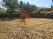 Terreno R�stico - Martim Longo, Alcoutim, Faro (Algarve) - Miniatura: 8/9