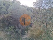 Hotel/Residencial - Alcoutim, Alcoutim, Faro (Algarve) - Miniatura: 4/9