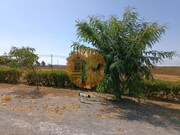 Terreno Urbano - Alcoutim, Alcoutim, Faro (Algarve) - Miniatura: 8/9