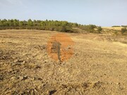 Terreno R�stico - Odeleite, Castro Marim, Faro (Algarve) - Miniatura: 9/9