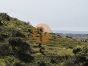 Terreno R�stico - Castro Marim, Castro Marim, Faro (Algarve) - Miniatura: 5/9