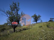 Terreno R�stico - Castro Marim, Castro Marim, Faro (Algarve) - Miniatura: 8/9