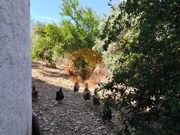Moradia T3 - Azinhal, Castro Marim, Faro (Algarve) - Miniatura: 5/9