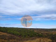 Terreno R�stico - Azinhal, Castro Marim, Faro (Algarve) - Miniatura: 6/9