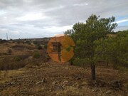 Terreno R�stico - Azinhal, Castro Marim, Faro (Algarve) - Miniatura: 7/9