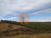 Terreno R�stico - Azinhal, Castro Marim, Faro (Algarve) - Miniatura: 8/9