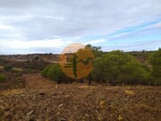 Terreno R�stico - Azinhal, Castro Marim, Faro (Algarve) - Miniatura: 9/9