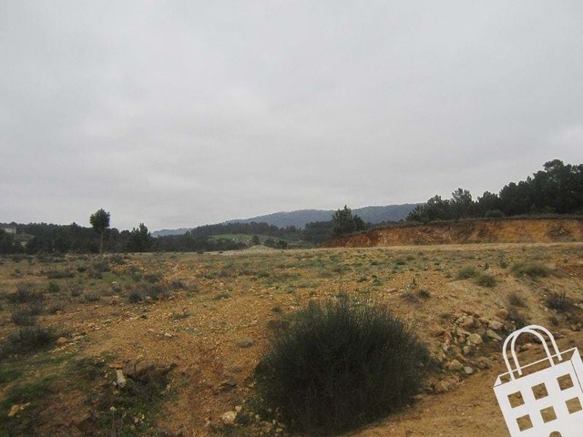 Terreno R�stico T0 - S�o Pedro de Agostem, Chaves, Vila Real - Imagem grande