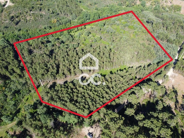 Terreno R�stico T0 - Redondelo, Chaves, Vila Real - Imagem grande