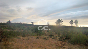Terreno R�stico T0 - Outeiro Seco, Chaves, Vila Real