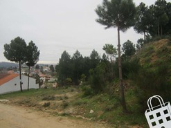Terreno R�stico T0 - S�o Pedro de Agostem, Chaves, Vila Real - Miniatura: 3/3
