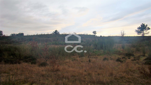 Terreno R�stico T0 - Outeiro Seco, Chaves, Vila Real - Miniatura: 1/3
