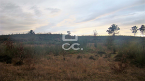 Terreno R�stico T0 - Outeiro Seco, Chaves, Vila Real - Miniatura: 2/3