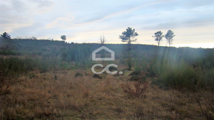 Terreno R�stico T0 - Outeiro Seco, Chaves, Vila Real - Miniatura: 3/3
