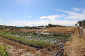 Terreno R�stico T0 - �guas Frias, Chaves, Vila Real - Miniatura: 13/23