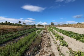 Terreno R�stico T0 - �guas Frias, Chaves, Vila Real - Miniatura: 15/23