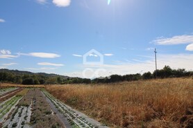 Terreno R�stico T0 - �guas Frias, Chaves, Vila Real - Miniatura: 17/23