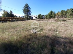 Terreno R�stico T0 - Santa Cruz/Trindade, Chaves, Vila Real - Miniatura: 4/13