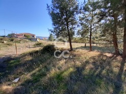 Terreno R�stico T0 - Santa Cruz/Trindade, Chaves, Vila Real - Miniatura: 6/13