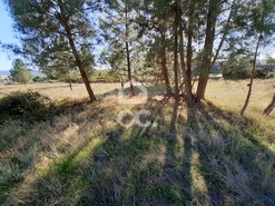 Terreno R�stico T0 - Santa Cruz/Trindade, Chaves, Vila Real - Miniatura: 11/13