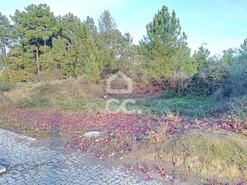 Terreno R�stico T0 - S�o Pedro de Agostem, Chaves, Vila Real - Miniatura: 4/20