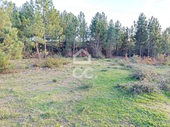 Terreno R�stico T0 - S�o Pedro de Agostem, Chaves, Vila Real - Miniatura: 15/20