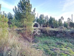 Terreno R�stico T0 - S�o Pedro de Agostem, Chaves, Vila Real - Miniatura: 18/20