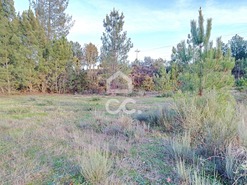 Terreno R�stico T0 - S�o Pedro de Agostem, Chaves, Vila Real - Miniatura: 19/20