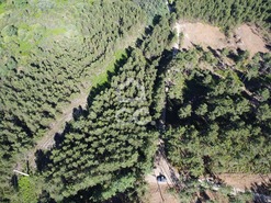 Terreno R�stico T0 - Redondelo, Chaves, Vila Real - Miniatura: 3/13