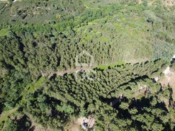 Terreno R�stico T0 - Redondelo, Chaves, Vila Real - Miniatura: 4/13