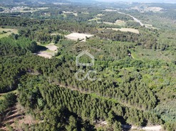 Terreno R�stico T0 - Redondelo, Chaves, Vila Real - Miniatura: 6/13