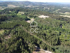 Terreno R�stico T0 - Redondelo, Chaves, Vila Real - Miniatura: 7/13