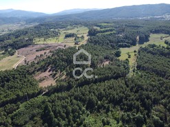 Terreno R�stico T0 - Redondelo, Chaves, Vila Real - Miniatura: 13/13