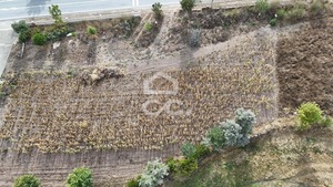 Terreno Urbano T0 - Ch�, Montalegre, Vila Real - Miniatura: 6/7