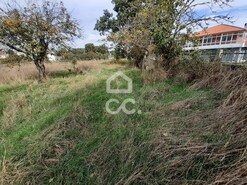 Terreno R�stico T0 - Calv�o, Chaves, Vila Real - Miniatura: 9/15
