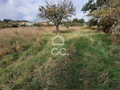 Terreno R�stico T0 - Calv�o, Chaves, Vila Real - Miniatura: 11/15