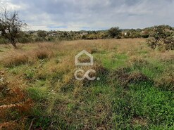Terreno R�stico T0 - Calv�o, Chaves, Vila Real - Miniatura: 12/15