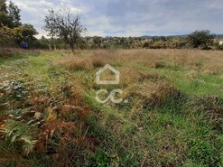 Terreno R�stico T0 - Calv�o, Chaves, Vila Real - Miniatura: 13/15