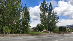 Terreno R�stico T0 - Boticas, Boticas, Vila Real - Miniatura: 12/14