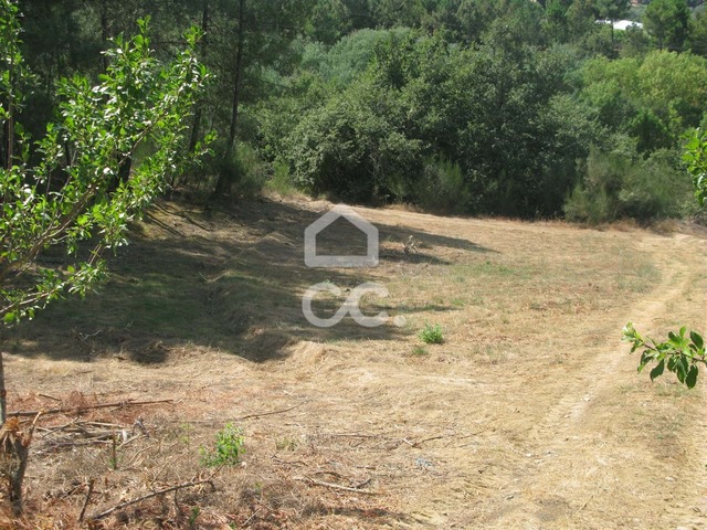 Terreno R�stico T0 - S�o Pedro de Agostem, Chaves, Vila Real - Imagem grande