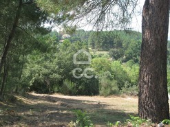 Terreno R�stico T0 - S�o Pedro de Agostem, Chaves, Vila Real - Miniatura: 4/8